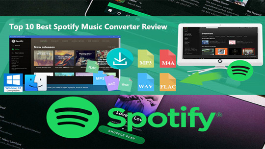 Spotify Ripper Mac Review